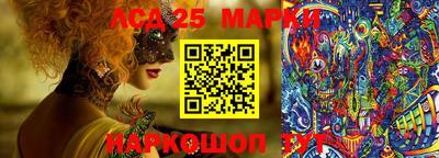 гашик Волжский