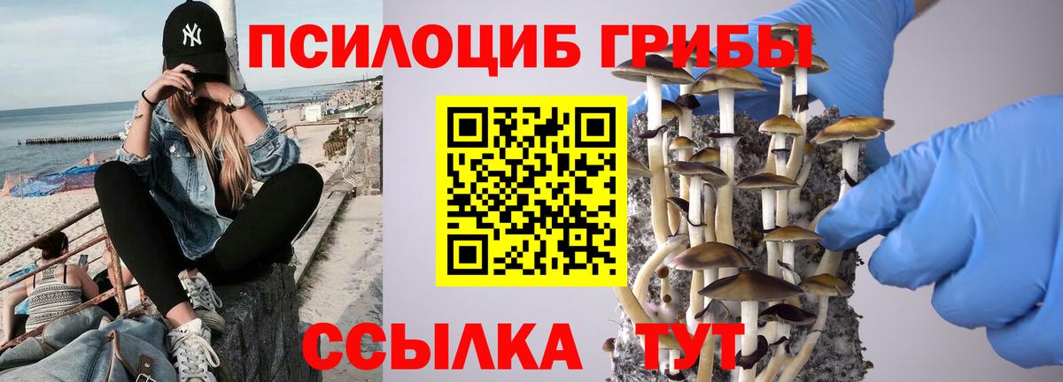 Партизанск  Псилоцибиновые грибы Cubensis  Вход с VPN  Галлюциногенные грибы прущие грибы 